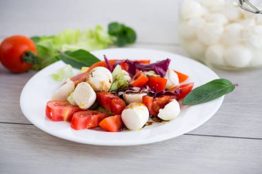 Taze sebze ve mozzarella peyniri..