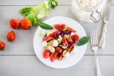 Taze sebze ve mozzarella peyniri..