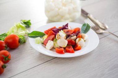 Taze sebze ve mozzarella peyniri..