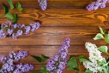 Kara tahtada mor leylak çiçekleri ve yazıtlar için boş alan.