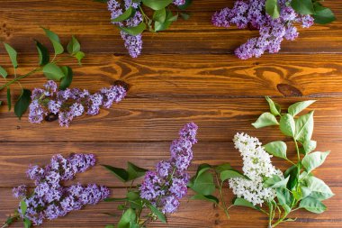 Ahşap zemin üzerinde güzel bahar leylağı ve metin için boşluk.