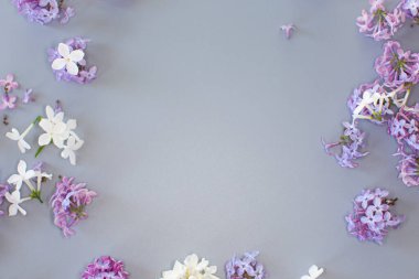 Gri arkaplanda romantik leylak demeti.