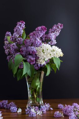 Vazoda bir buket güzel beyaz ve mor leylak..