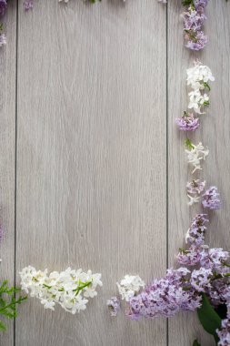 Boş alanı olan beyaz ve mor leylak çerçevesi.