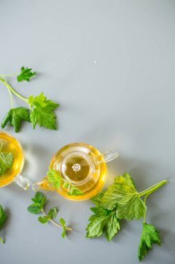 Doğal yeşil çay, gri arka planda cam bitkiler..