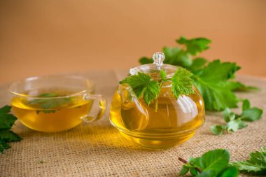 Frenk üzümü yapraklarından yeşil çay ve cam çaydanlıkta nane.