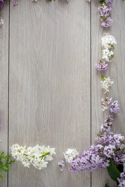 Boş alanı olan beyaz ve mor leylak çerçevesi.