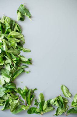 Gri desenli arka planda bir sürü taze aromatik nane..