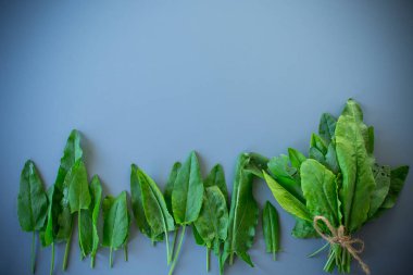 Gri arkaplanda doğal yeşil doru yakın plan.