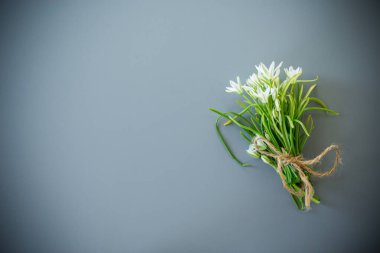 Gri arka planda bir demet beyaz bahar çiçeği.