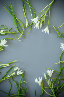 Gri arkaplanda beyaz çiçek çerçevesi.