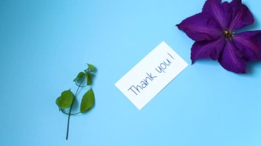 Nötr mavi arkaplanda klemati olan estetik bileşim.