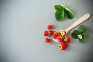 Gri arka planda olgun kırmızı çilekler.