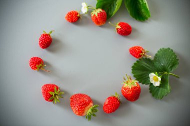 Gri arka planda sulu çilekler..