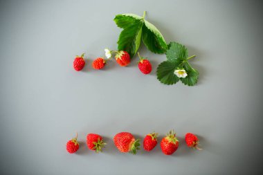 Gri arkaplanı olan kırmızı çileklerin üst görüntüsü.