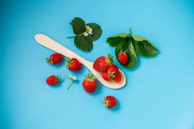 Modaya uygun mavi bir yüzey üzerinde olgun çilekler.