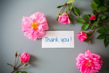 Yumuşak bir pastel yüzeyde gül çiçekleri, minnettarlıkla..