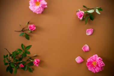 Kahverengi arka planda minimalist bahçe gül düzenlemesi.
