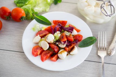 Yapraklı ve mozarellalı nefis yaz salatası..