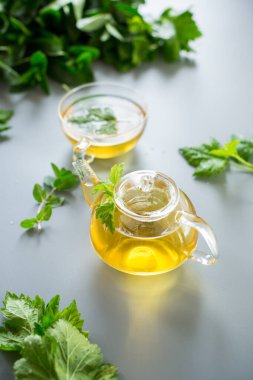 Nane ve üzümlü yapraklardan çaydanlık ve fincanda Aromatik içecek.