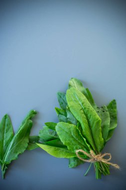 Sağlıklı beslenmek için gri arka planda yeşil kuş yaprakları.