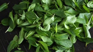 Siyah desenli arka planda bir sürü taze aromatik nane..