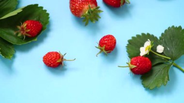 Olgun kırmızı çilek mavi bir arka plan üzerinde