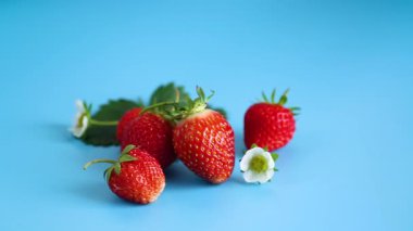 Olgun kırmızı çilek mavi bir arka plan üzerinde