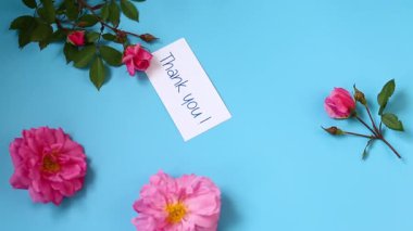 Yumuşak bir pastel yüzeyde gül çiçekleri, minnettarlıkla.