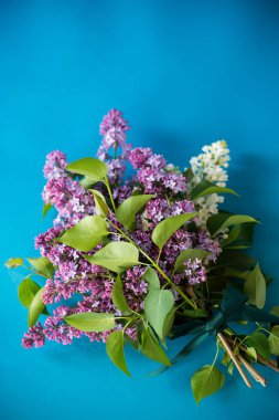 Mavi arka planda beyaz ve mor leylak demeti.