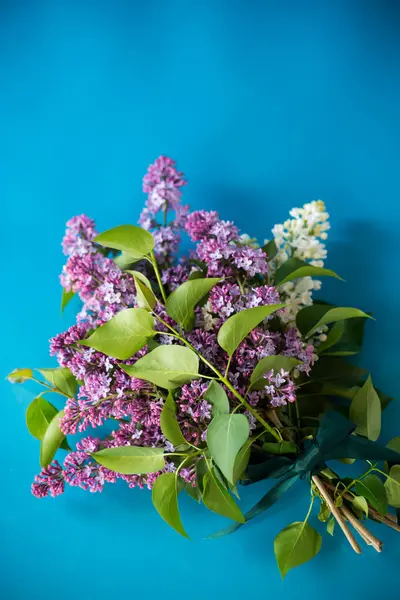Mavi arka planda beyaz ve mor leylak demeti.