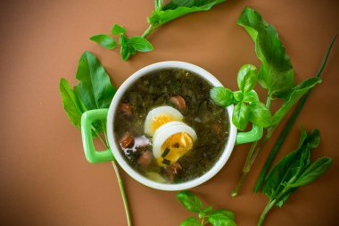 Kahverengi zeminli geleneksel Ukrayna doru borş çorbası..