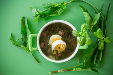 Yeşil arkaplanda yumurta ve doru yeşil bir borş tabakasının üst görüntüsü..