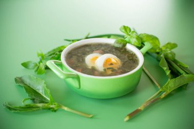 Pastel arka planda yeşillik ve yumurta ile Ukrayna yemeği çorbası..