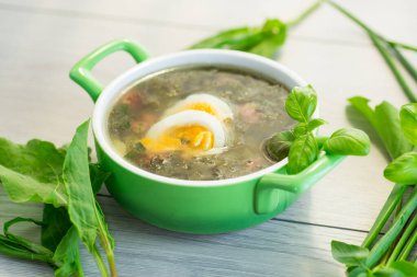 İştah açıcı bahar doru borş. Hafif ahşap masada izole edilmiş..