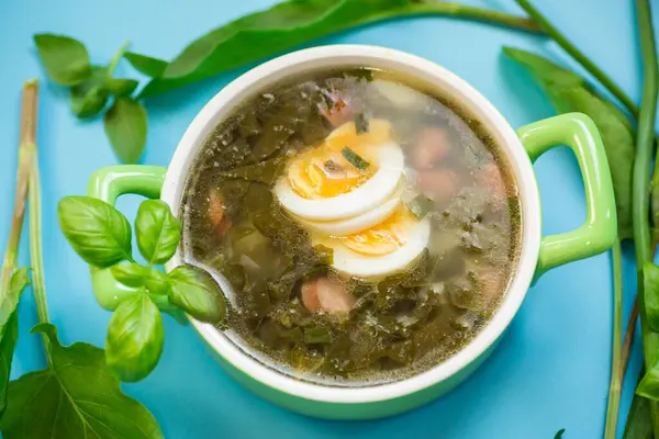 İştah açıcı bahar doru borş mavi bir arka planda izole.