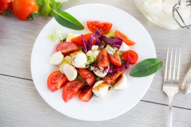 Taze sebze ve mozzarella peyniri..