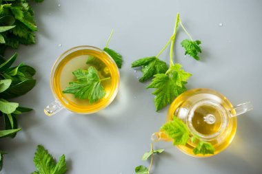 Nane ve üzümlü yapraklardan çaydanlık ve fincanda Aromatik içecek.