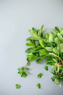 Yeşil nane yaprakları taş arkaplanda yakın plan.