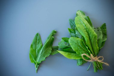 Gri arkaplanda doğal yeşil doru yakın plan.