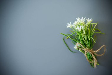 İple beyaz kar damlaları..