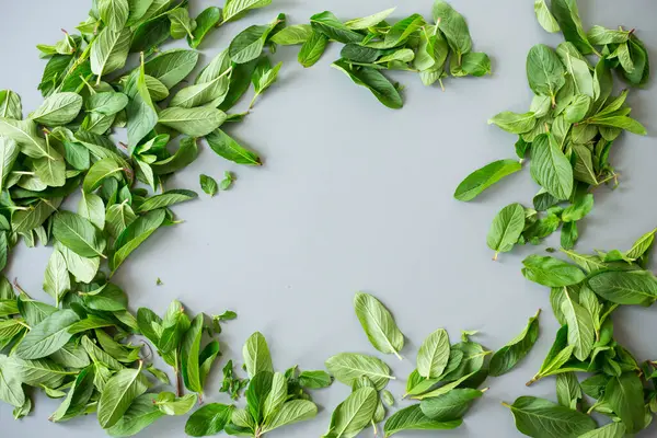 Gri yüzeyde doğal taze nane..