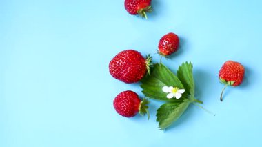 Yukarıdan mavi arka planda olgun kırmızı çilekler.