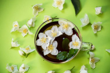 Yeşil çay ve yasemin çiçekli çay kompozisyonu.