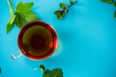 Cam bardak ve çaydanlıkta taze bitkisel karışım..