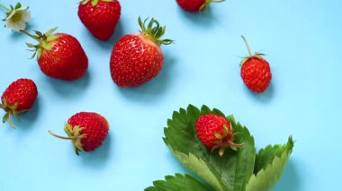 Yukarıdan mavi arka planda olgun kırmızı çilekler..