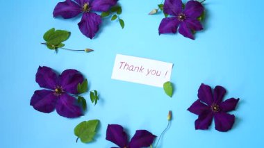 Çiçek açan Clematis, mavi arka planda üst görünümü izole etti.