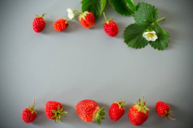 Tarafsız gri bir yüzey üzerinde parlak olgun çilekler.