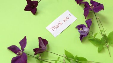 Mor yapraklı ve yeşillikli klematilerin yakın çekimi.