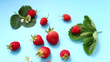 Mavi bir yüzey üzerinde parlak olgun çilekler..